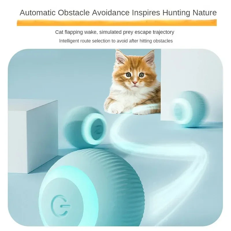 Interactive Rechargeable Cat Ball Toy
